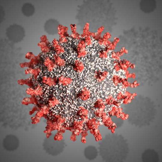 Coronavirus Informations